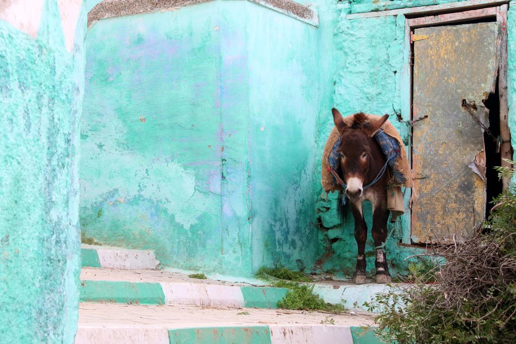Dar Zerhoune Moulay Idriss Luaran gambar